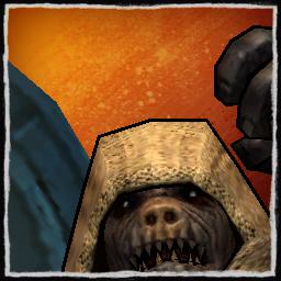 player portrait