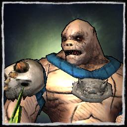 player portrait