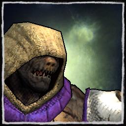 player portrait