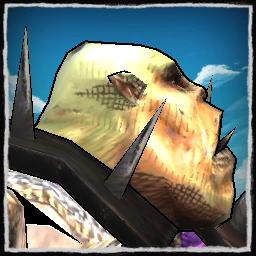 player portrait