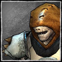 player portrait