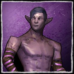 player portrait
